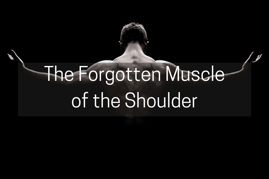 The Forgotten Muscle of the Shoulder