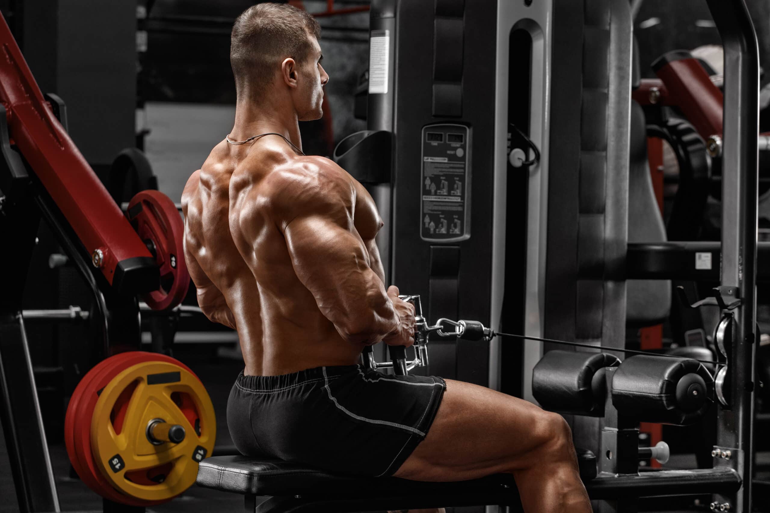 Bodybuilder performing seated cable row in gym.